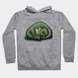 Sleepy Dragon Hoodie